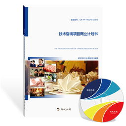 旗訊網(wǎng)技術咨詢項目商業(yè)計劃書